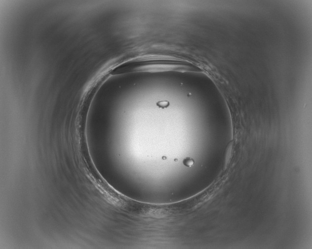 X0000081580341200701151249