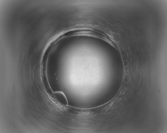 X0000081580342200701151249