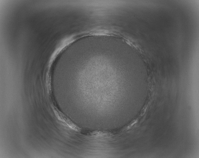 X0000081580343200701151249