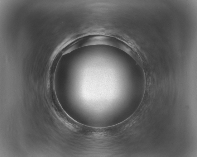 X0000081580344200701151249