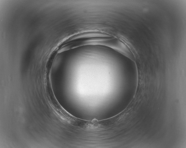 X0000081580346200701151249