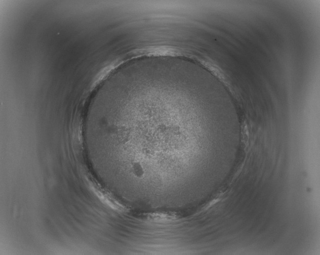 X0000081580347200701151249