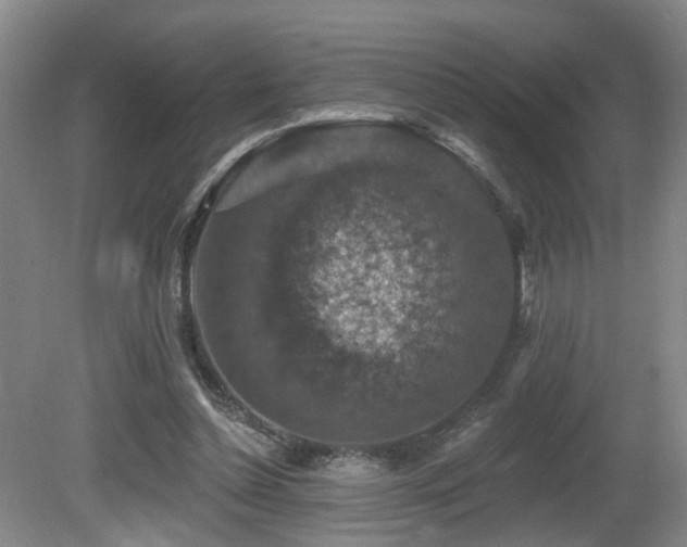 X0000081580348200701151249