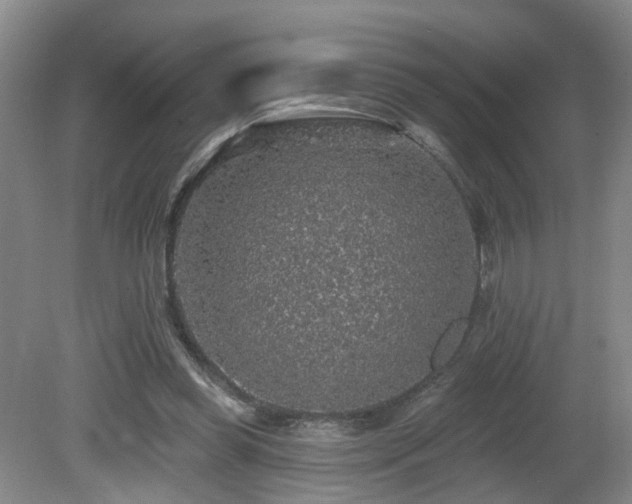 X0000081580349200701151249