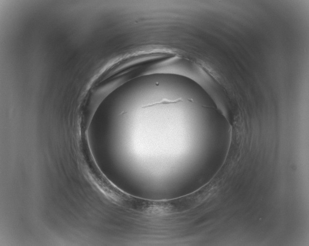 X0000081580350200701151249