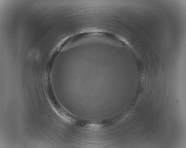 X0000081580352200701151249