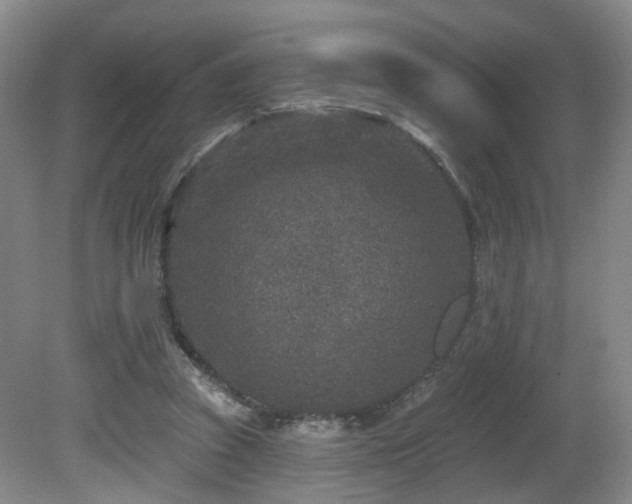 X0000081580353200701151249