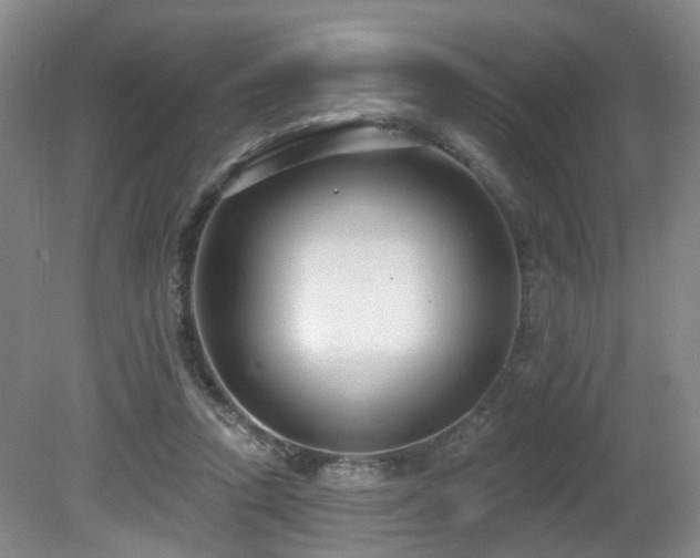 X0000081580354200701151249