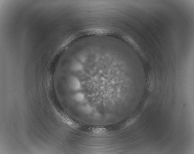 X0000081580355200701151249