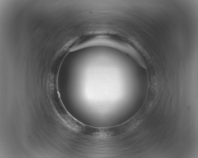 X0000081580356200701151249