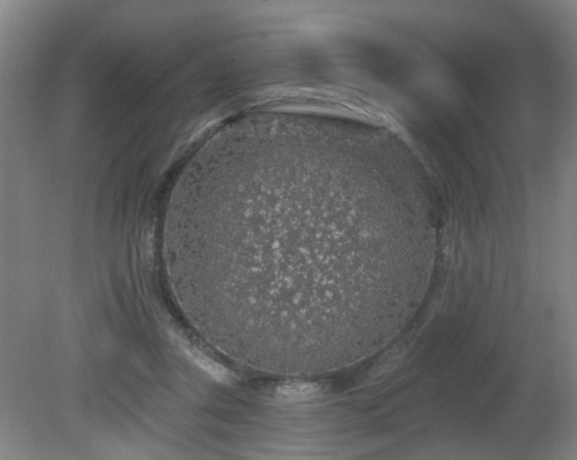 X0000081580357200701151249