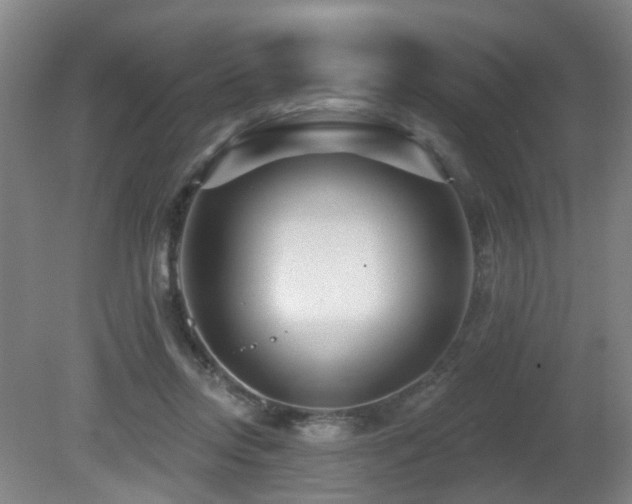 X0000081580358200701151249