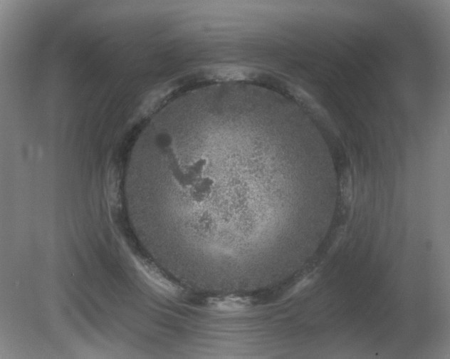 X0000081580359200701151249