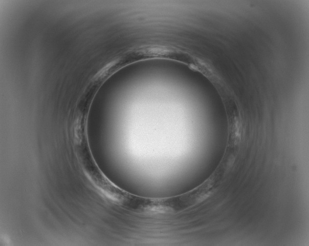 X0000081580360200701151249