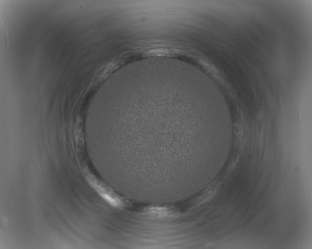 X0000081580361200701151249