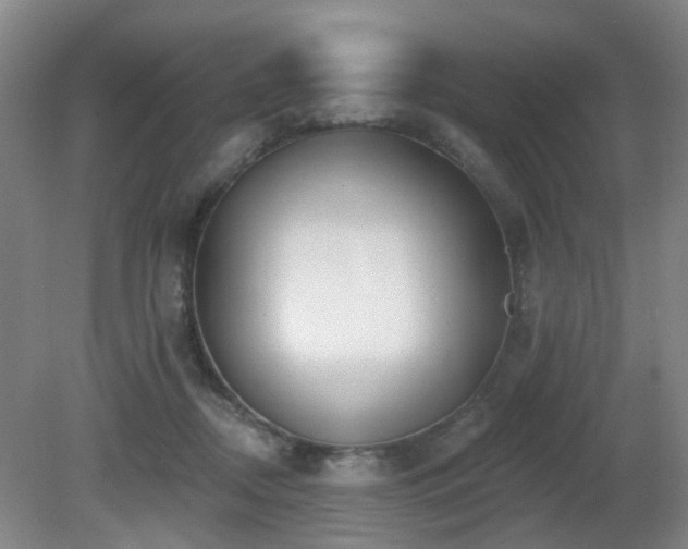 X0000081580362200701151249