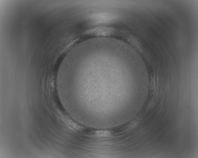 X0000081580363200701151249