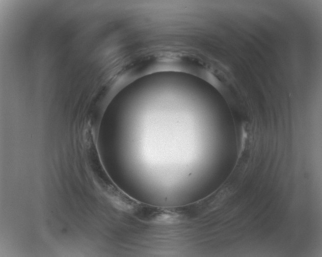 X0000081580364200701151249