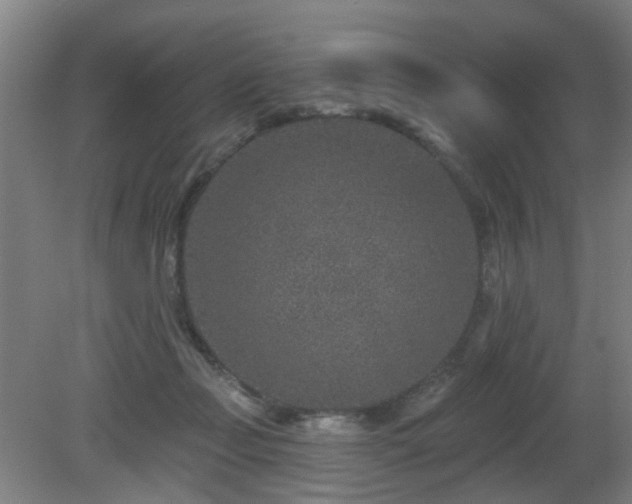 X0000081580365200701151249