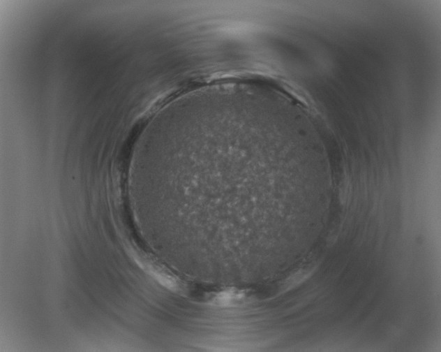 X0000081580366200701151249