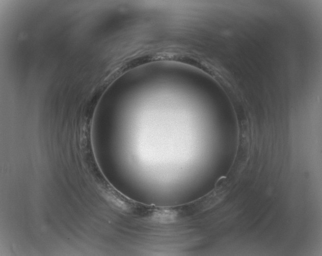 X0000081580369200701151249