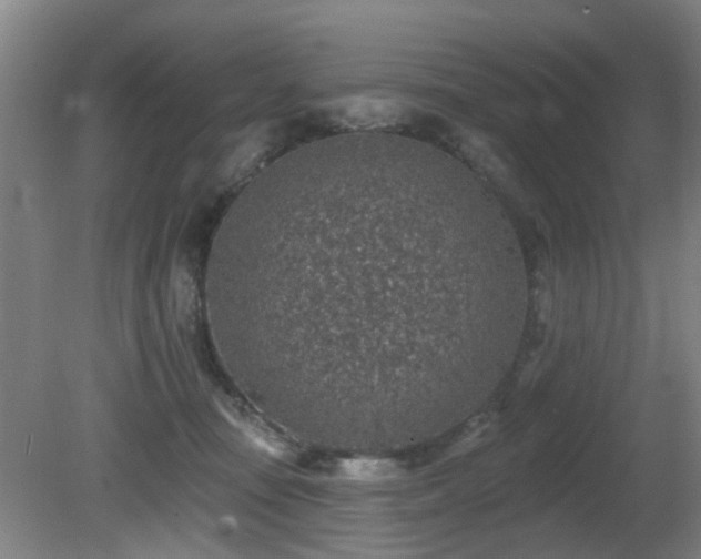 X0000081580371200701151249