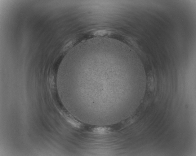 X0000081580375200701151249