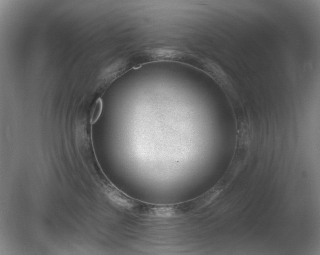 X0000081580377200701151249