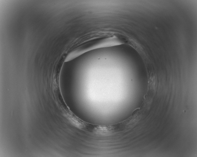 X0000081580381200701151249