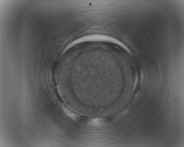 X0000081580382200701151249