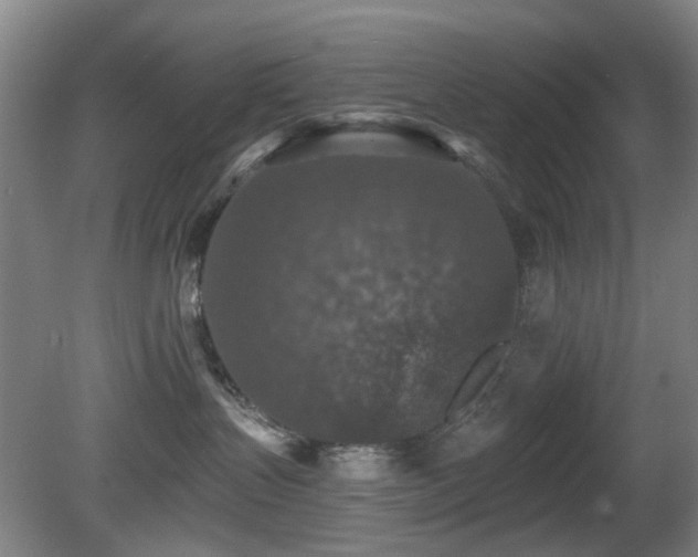 X0000081580383200701151249