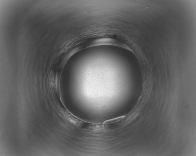 X0000081580384200701151249