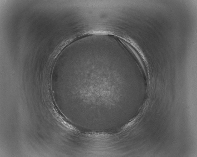 X0000081580385200701151248