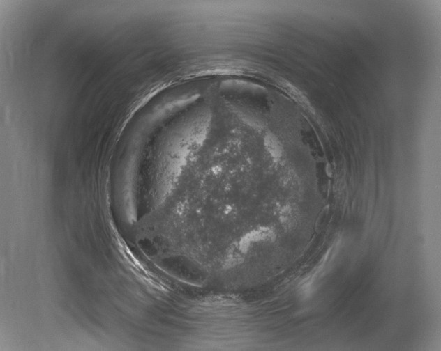 X0000081580386200701151248