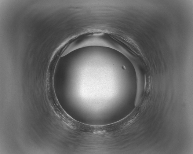 X0000081580388200701151248