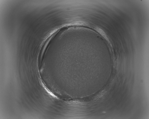 X0000081580389200701151248