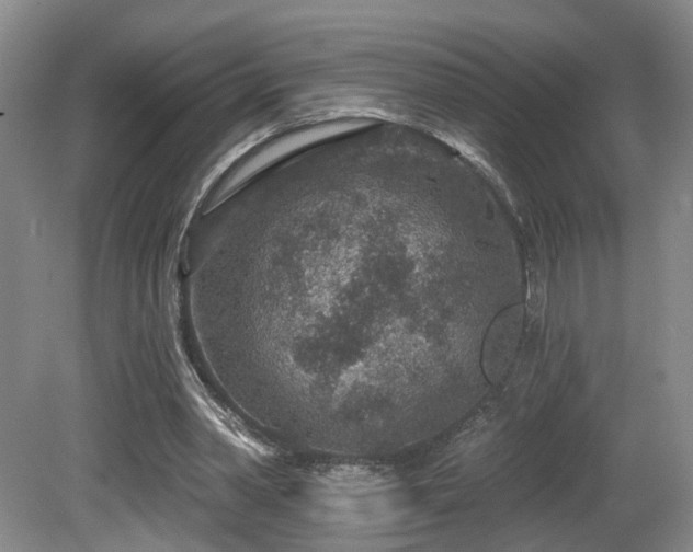 X0000081580390200701151248