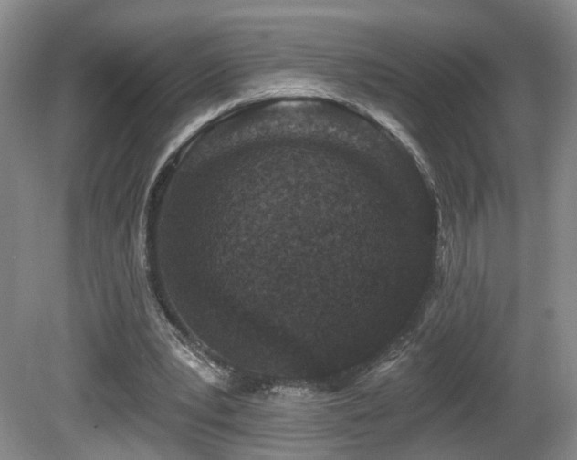 X0000081580391200701151248