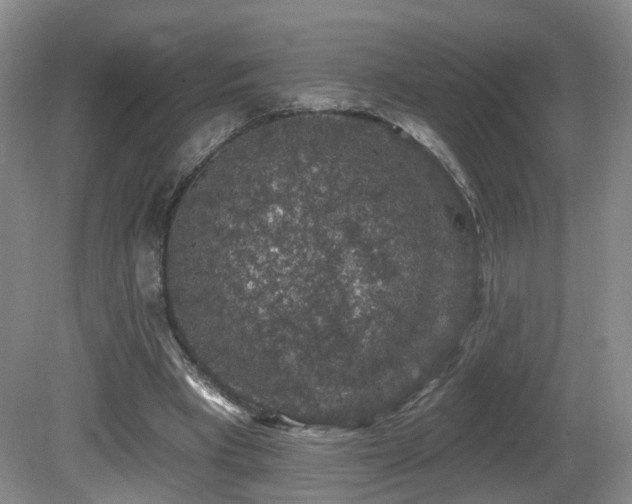 X0000081580393200701151248