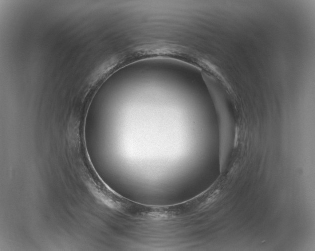 X0000081580394200701151248