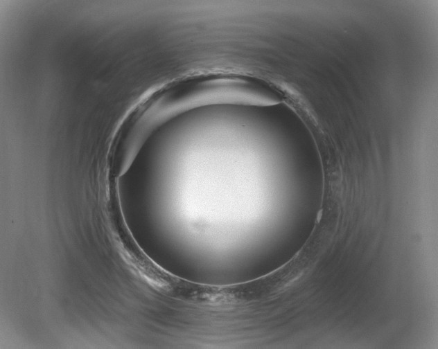 X0000081580395200701151248