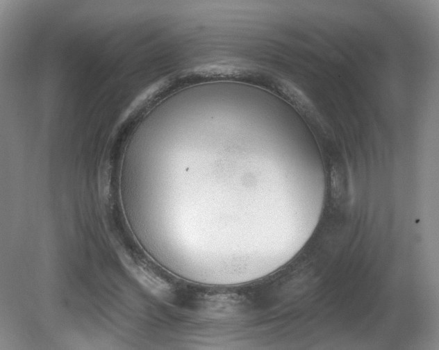 X0000081580396200701151248