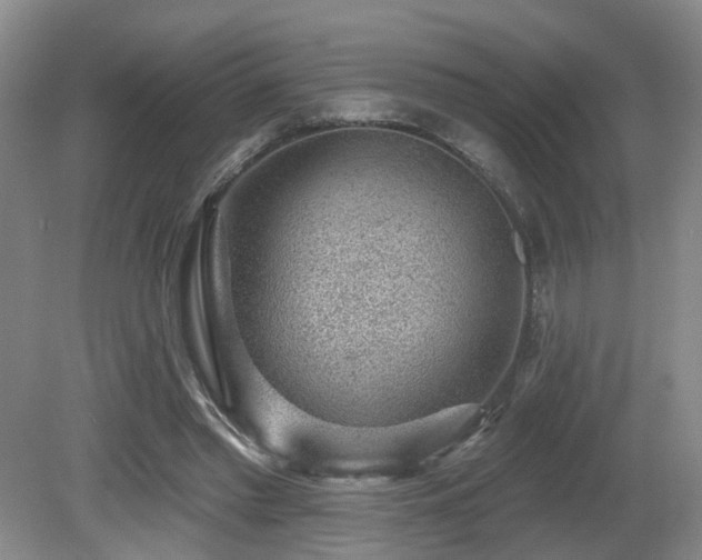 X0000081580397200701151248