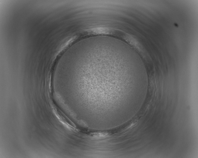 X0000081580398200701151248