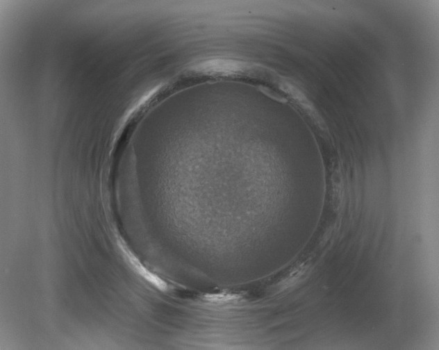 X0000081580399200701151248