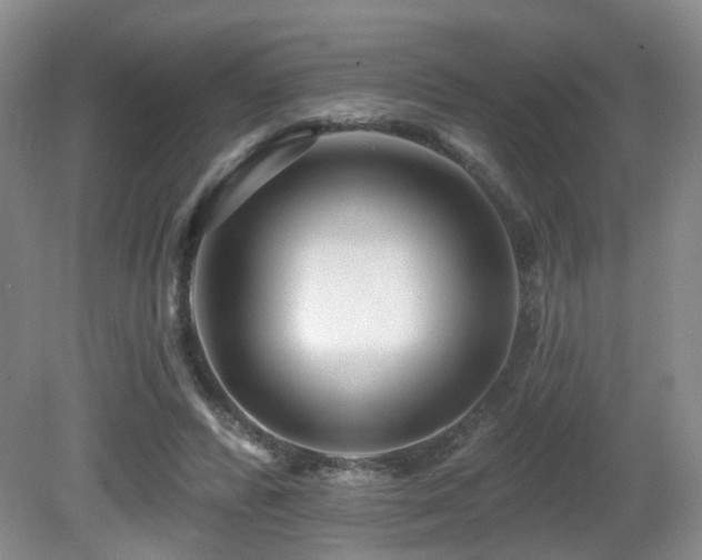 X0000081580400200701151248