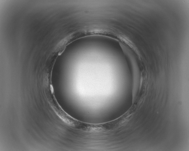 X0000081580401200701151248