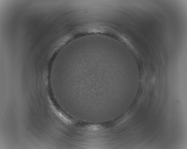 X0000081580402200701151248