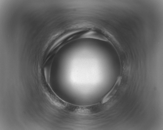 X0000081580403200701151248