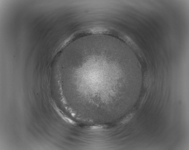 X0000081580405200701151248